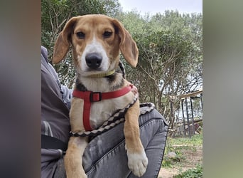 Venere: wird mein Leben bunt und schön?