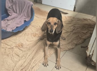 Paoluccia: wird sie noch einmal Geborgenheit spüren?