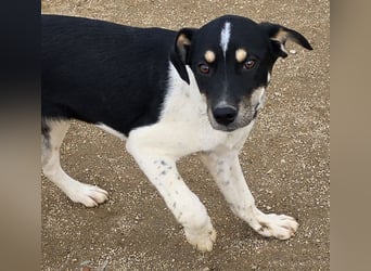 Argo: ein Schatz für die ganze Familie