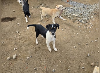 Zero: ein Schatz für die ganze Familie