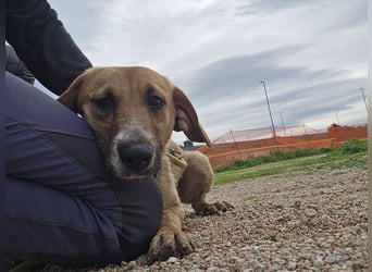 Veneranda: ihr Traum: nie mehr eingesperrt sein