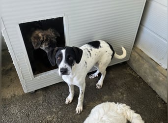 Castagna: sehnt sich nach Freiheit