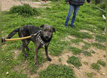 Frieda: ein Schatz für "überall mit dabei"