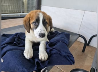 Eveline: bereit für ihre eigene Familie