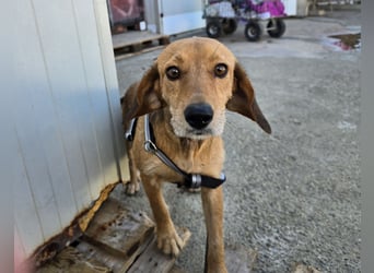 Lilli: sie muss man lieb haben