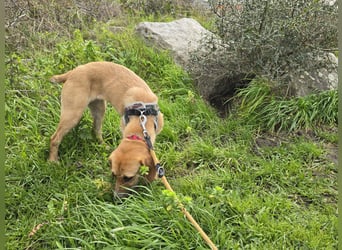 Veneranda: ihr Traum: nie mehr eingesperrt sein