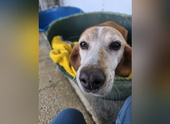 Perla: darf sie noch einmal Liebe spüren?