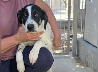 Castagna: sehnt sich nach Freiheit