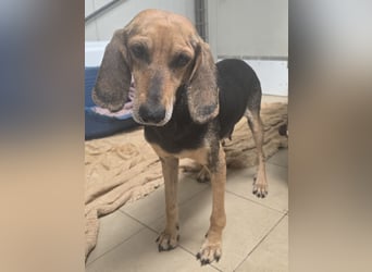 Paoluccia: wird sie noch einmal Geborgenheit spüren?