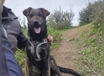 Frieda: ein Schatz für "überall mit dabei"