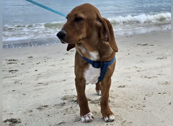 Nala Piccola: kleine Zuckerschnute