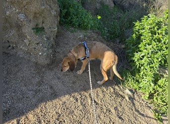 Lilli: sie muss man lieb haben