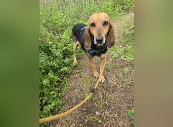 Paoluccia: wird sie noch einmal Geborgenheit spüren?