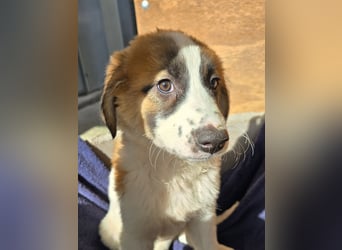 Eveline: bereit für ihre eigene Familie