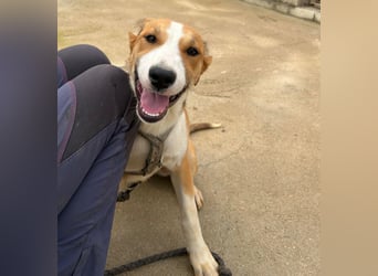 Billie: Hallo, hier bin ich!