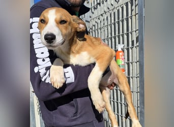 Billie: Hallo, hier bin ich!