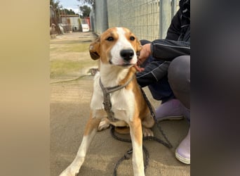 Billie: Hallo, hier bin ich!