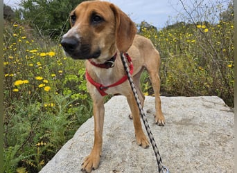 Veneranda: ihr Traum: nie mehr eingesperrt sein