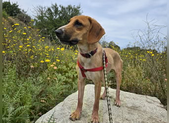 Veneranda: ihr Traum: nie mehr eingesperrt sein