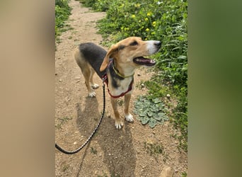 Venere: wird mein Leben bunt und schön?