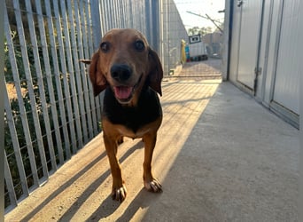 Fine: sie hat ganz viel Liebe zu geben