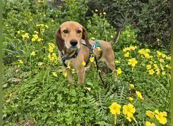 Lilli: sie muss man lieb haben