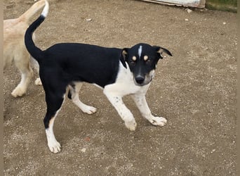 Zero: ein Schatz für die ganze Familie