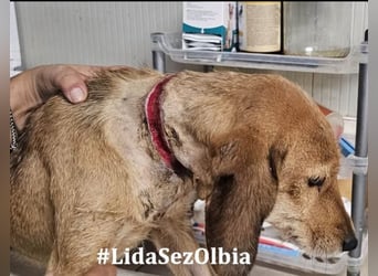 Lilli: sie muss man lieb haben