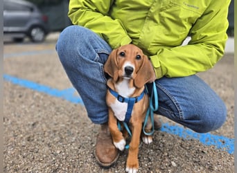 Nala Piccola: kleine Zuckerschnute