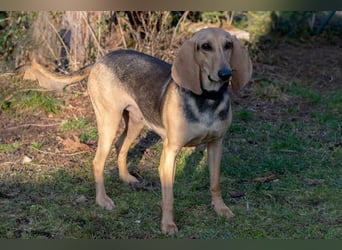 Maria sucht ein Zuhause