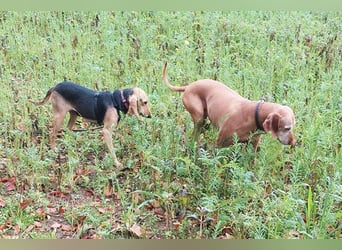 Maria sucht eine Familie