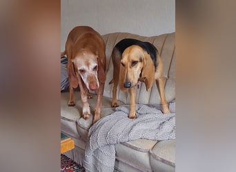 Maria sucht eine Familie