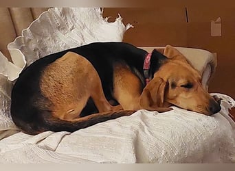 Maria sucht eine Familie