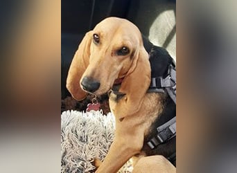 Maria sucht eine Familie