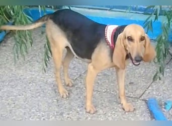 Maria sucht ein Zuhause