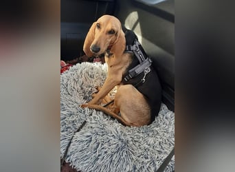 Maria sucht ein Zuhause