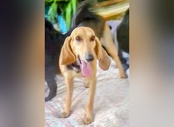 Maria sucht ein Zuhause