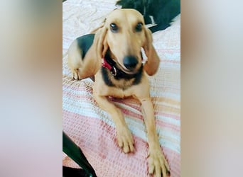 Maria sucht ein Zuhause