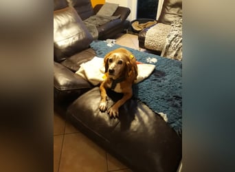 Perla: wer hätte das gedacht?