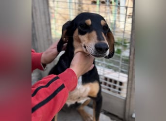 Fitte Seniorin Giulia möchte ankommen!