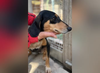 Fitte Seniorin Giulia möchte ankommen!