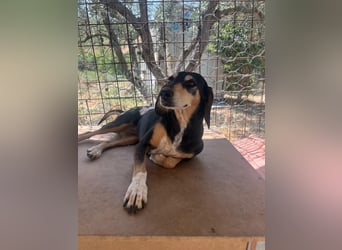 Fitte Seniorin Giulia möchte ankommen!