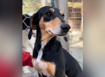 Fitte Seniorin Giulia möchte ankommen!