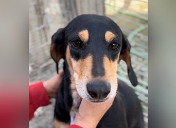 Fitte Seniorin Giulia möchte ankommen!