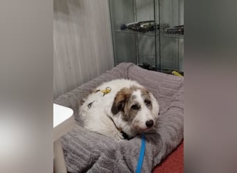 Anton: wer nimmt mich so, wie ich bin?