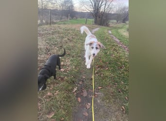 Anton: wer nimmt mich so, wie ich bin?