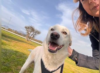 Lupen: warum bin ich hier?