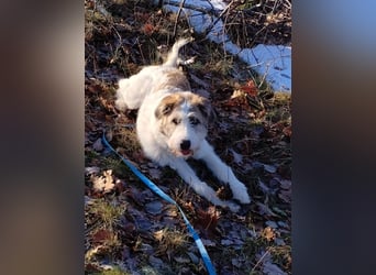 Anton: wer nimmt mich so, wie ich bin?