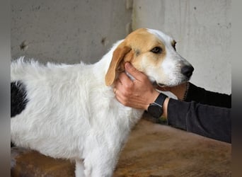 Anicho - wie wär's mit einem happy Happy End?
