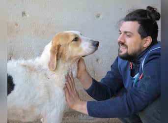 Anicho - wie wär's mit einem happy Happy End?